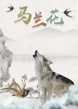 在线视频二区